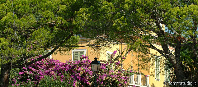 The climate and the flora lake Garda